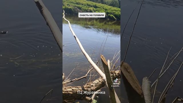 снасть для ловли голавля, просто и эффективно смотреть онлайн