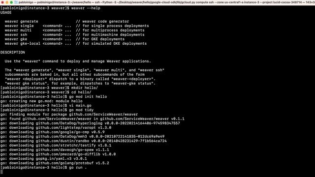 Service Weaver, monolithic or microservice? смотреть онлайн