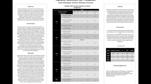 SC Region 1 Science Fair - Virtual Poster Tips смотреть онлайн