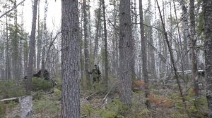 Охота на глухаря на току этой весной! Лучшее!!! Подход!