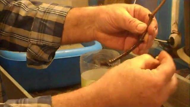 посадка черенков винограда в стаканчики смотреть онлайн