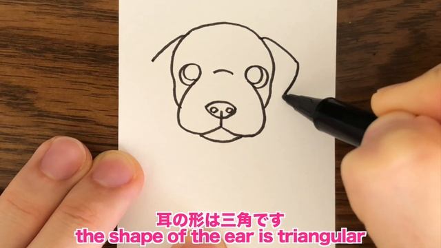 【Dog!】How to draw Chocolate Labrador retriever | step by step смотреть онлайн