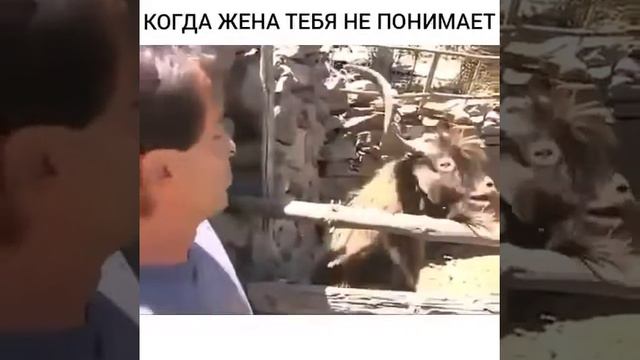 Когда жена тебя не понимает ! смотреть онлайн