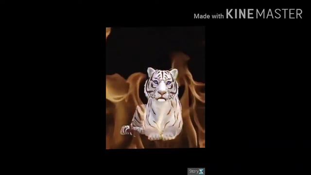 ...Не удивление что КР расспалось(напишите в комментариях что вы думаете о КЗ)