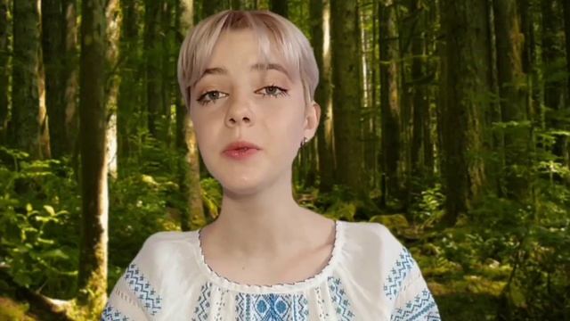 «Майстер перекладу» Павлюк Вікторія 11 кл. Селидівський ліцей №1 смотреть онлайн