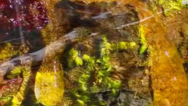 Video clip of Russian song V i V - Нет Меня, где нет Тебя [Official HD Video] смотреть онлайн