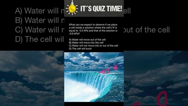 Water Potential quiz смотреть онлайн
