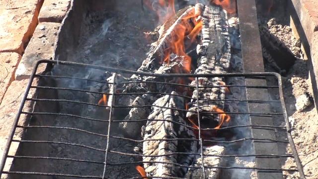 Вкусные рецепты с грибами