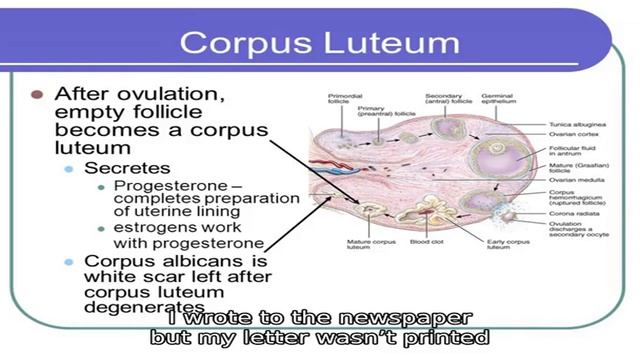 Англо-русский словарь смотреть онлайн