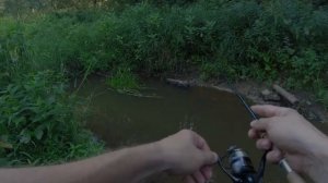 #030 #Мормышинг  Микро речка  Плотва на спиннинг