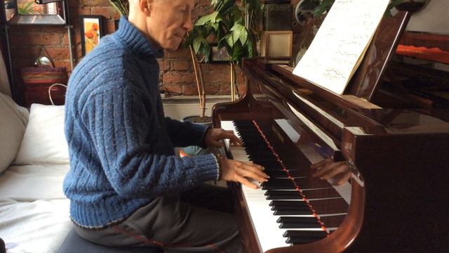 JSBach /FBusoni Chaconne practice progress (August Förster sound) смотреть онлайн