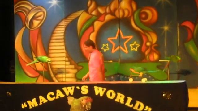 Шоу попугаев 3 :) смотреть онлайн