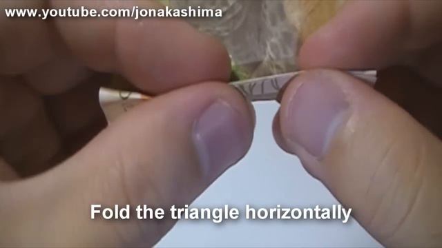 Origami $Flower (Stephen Hecht)