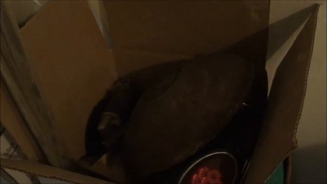 Wolfsburg Hub Cap, RARE Volkswagen Part? Parts From My 1955 VW Type 1