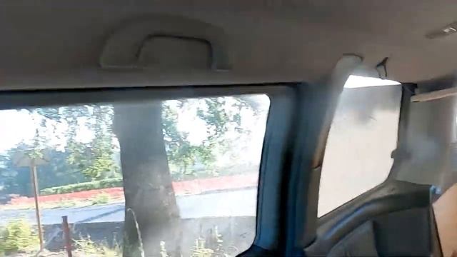 Самые высокие деревья на планете. смотреть онлайн