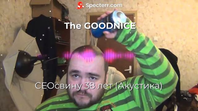 СЕОсвину 38 лет (Акустика) смотреть онлайн