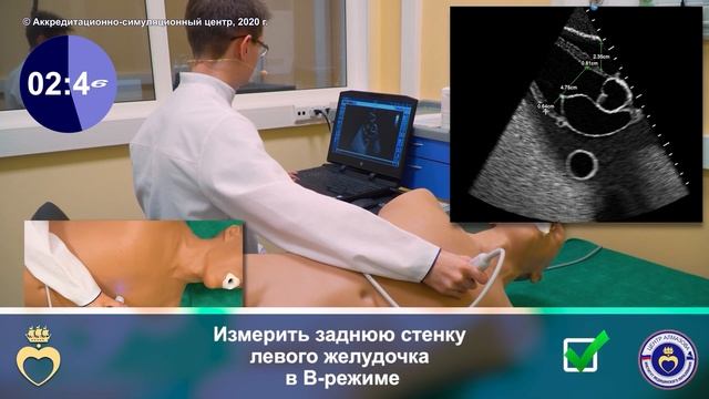 ЭХО КГ. Парастернальный доступ - длинная ось левого желудочка смотреть онлайн