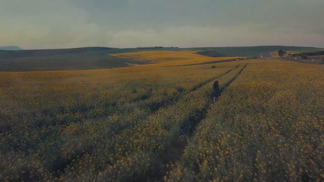 Я надену платье из белого света | Veraslava | смотреть онлайн