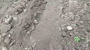 щетка фреза переделка пробует землю