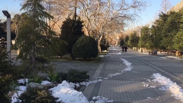 Мороз и солнце смотреть онлайн