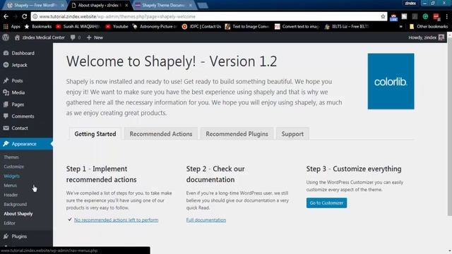 Shapely Wordpress Theme Customization Tutorial смотреть онлайн