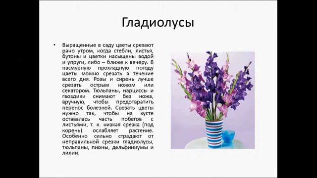 Как продлить жизнь срезанным цветам смотреть онлайн