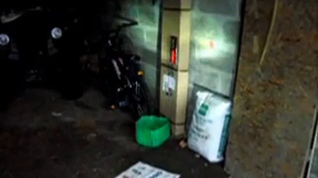 xenon sur 500 hsun.wmv смотреть онлайн