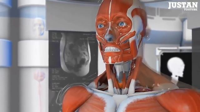 Исцеление cердца! ЭТО ДОЛЖЕН ЗНАТЬ КАЖДЫЙ! смотреть онлайн