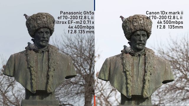 PANASONIC GH5S VS CANON 1DX makr ii. Почему я купил перешел на гаш. смотреть онлайн