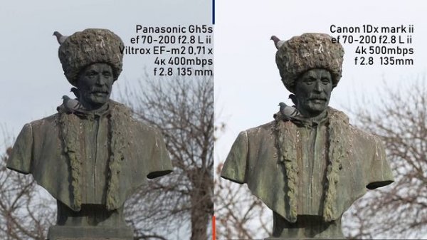 PANASONIC GH5S VS CANON 1DX makr ii. Почему я купил перешел на гаш.