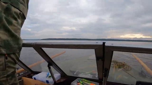 Клюёт всё. Судак, щука, окунь, лещ. Рыбалка на реке Свирь, Ивенские разливы. #судак #щука #окунь смотреть онлайн