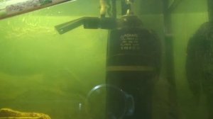 Когда надо чистить фильтр для аквариума