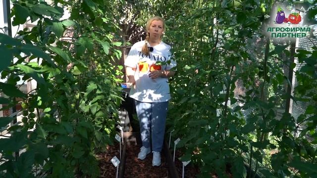 Огород в полутени - это плохо? смотреть онлайн