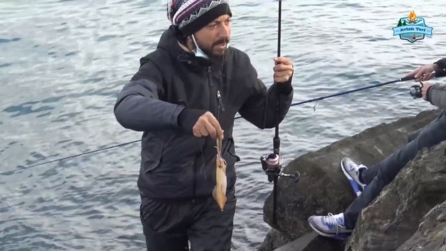 KÖRFEZ'DE KALAMAR ZAMANI!! LİMANDA NASIL KALAMAR YAKALANIR? смотреть онлайн