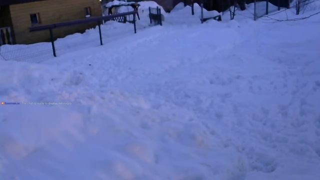 МАЛАМУТЫ ОНЛАЙН - СКОРО НАЧАЛО НОВОГО СЕЗОНА! (ХАСЯТА ОНЛАЙН)