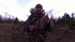 Охота на тетерева с манком