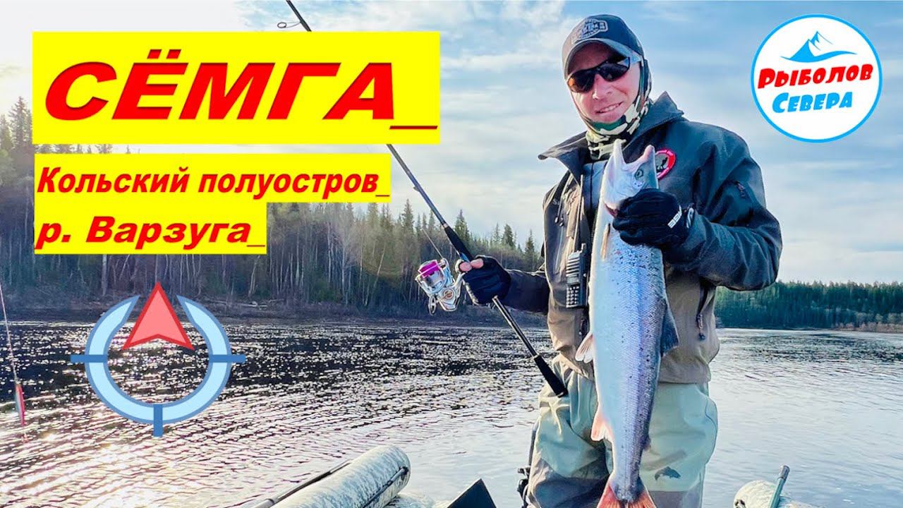 ✅ РЫБАЛКА НА СЁМГУ l ВАРЗУГА 2023 #Рыболов_Севера #лосось #кольский смотреть онлайн