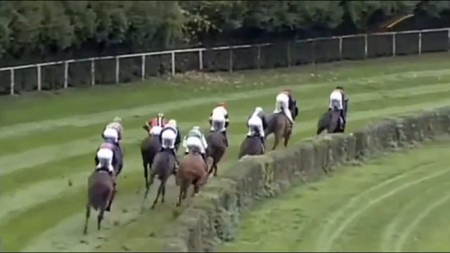 Dortmund: wwwRaceBetsde Rennen (D) - Siegerin: Ostana смотреть онлайн