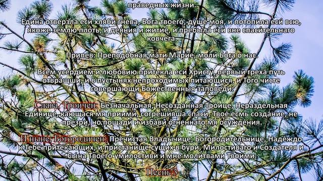 Великопостные чтения. Чтимые Святые дня. Седмица 1-я Великого поста. (09.03.22)