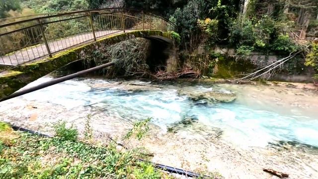 Абхазия 2023🌴Гагра🌞Универмаг, фонтан, ущелье, змеи и скорпионы🦂😂 смотреть онлайн