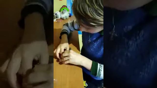 Мотыльница смотреть онлайн