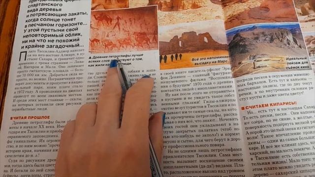 Сканворд 8 смотреть онлайн