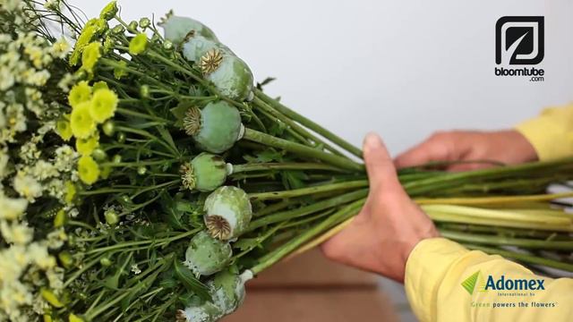 Green Inspiration by Dorien van den Berg how to make tutorial смотреть онлайн