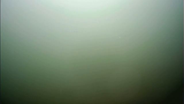 Подводная съемка ловли форели на окуневый балансир смотреть онлайн