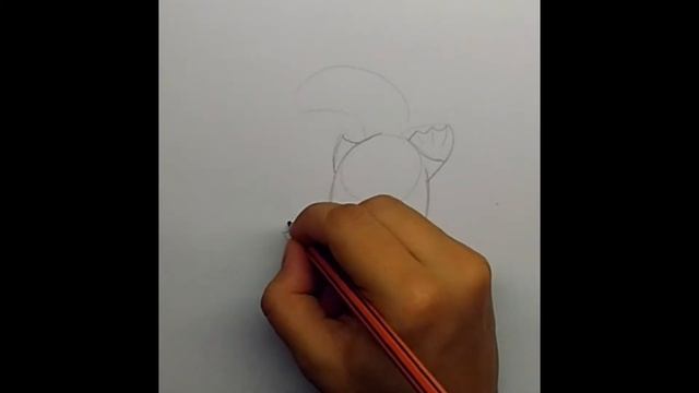 Как нарисовать утконоса