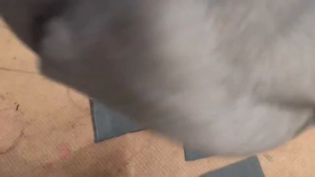 DIY Patchwork Jeans!!! ?| Easy Method