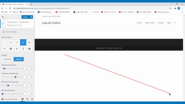 Aula 10 - Personalizando Tema OceanWP - Wordpress + Elementor смотреть онлайн