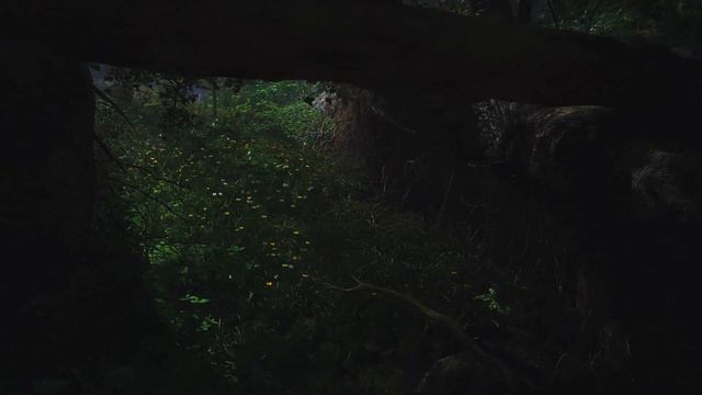 Skyrim NG 2023 | Riverwood Remastered | Rain Ambience | Ultra Graphics | Modlist [4K60] смотреть онлайн