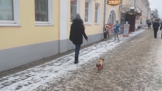 VLOG: собаки,поход в зоо,покупки,новая одежда для Юси,йоркширские терьеры Маркусс и Юстина. смотреть онлайн