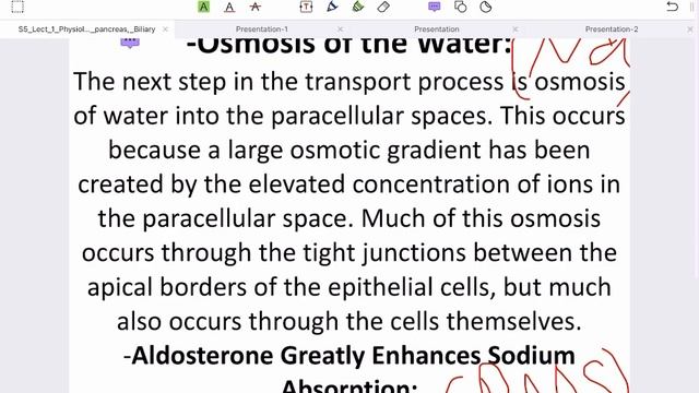 GIT | Physiology of Small and Large intestine Part 2 смотреть онлайн